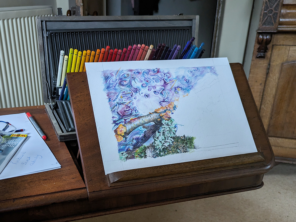 In progress coloured pencil drawing