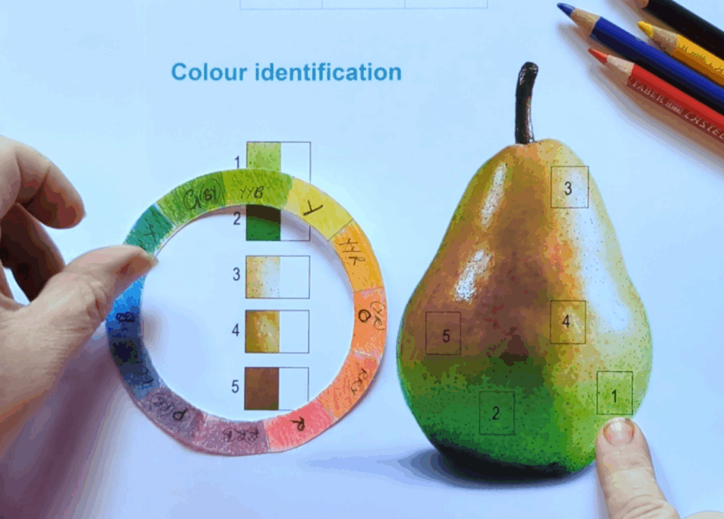 Colour Identification